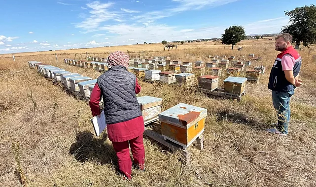 İpsala'da zirai bayi ve arı kovanı denetimleri