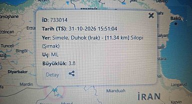 Irak'taki deprem Şırnak'ta da hissedildi