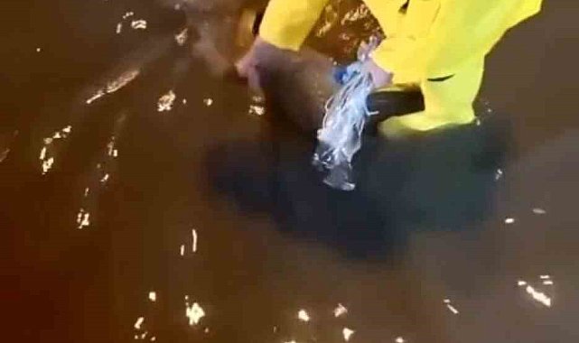 İskenderun'da yağış sonrası oluşan su birikintileri giderildi