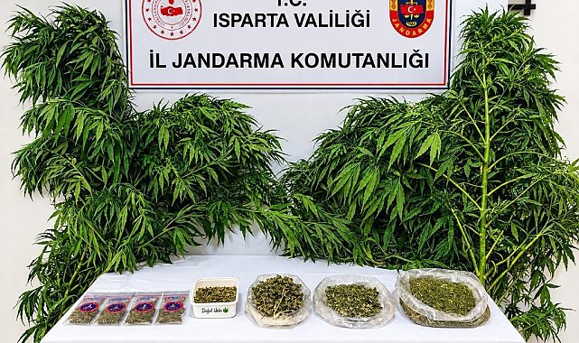 Isparta'da uyuşturucu operasyonlarında 62 şüpheli yakalandı