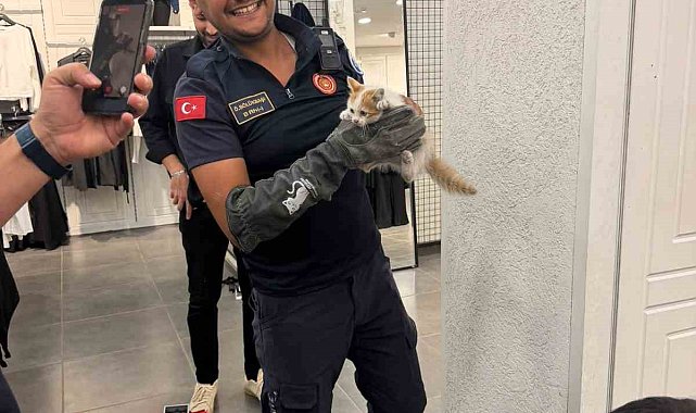 İtfaiye ekipleri duvarda mahsur kalan kedi ile parmaklıklara sıkışan köpeği kurtardı