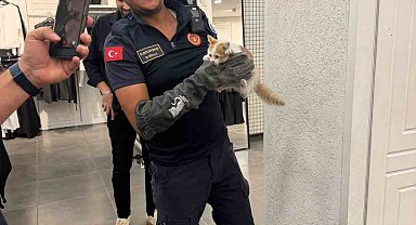 İtfaiye ekipleri duvarda mahsur kalan kedi ile parmaklıklara sıkışan köpeği kurtardı