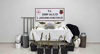 İzmir'de saksıda uyuşturucu yetiştiren şüpheli yakalandı