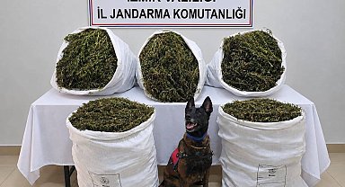 İzmir'de uyuşturucu operasyonu: 54 kilo 800 gram esrar ele geçirildi, 3 kişi tutuklandı