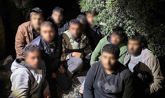 Jandarma ve MİT'ten ortak operasyon: 11 göçmen yakalandı