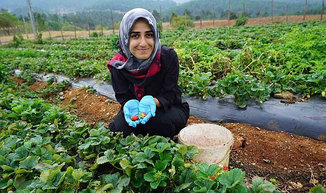 Kadınların emeği Kahraman Kadın Platformu'yla geniş kitlelere ulaşıyor