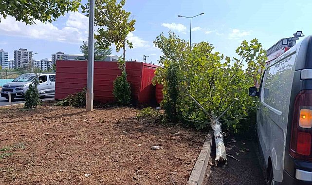Kamyonette sıkışan sürücüyü itfaiye ekipleri kurtardı