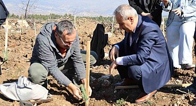 Karabük'te 250 fidan toprakla buluştu