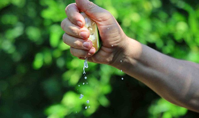 Karadeniz'de gemi trafiği durdu, Adana'da limon ve mandalina dalında kaldı
