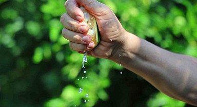 Karadeniz'de gemi trafiği durdu, Adana'da limon ve mandalina dalında kaldı
