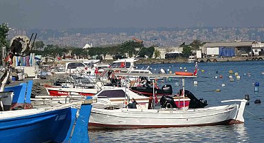 Karadeniz'de palamut alarmı: "Önüne ne gelirse yiyor, bir an önce hepsinin tutulması gerekiyor"