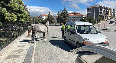 Karaman'da firari atın otomobile çarptığı anlar kameraya yansıdı