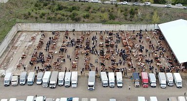 Kastamonu'da canlı hayvan pazarları kapatıldı