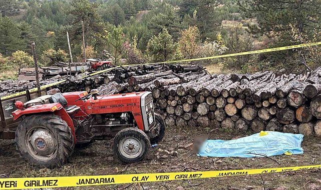 Kastamonu'da cinayet: Odunla kafasına vurulan imam hayatını kaybetti