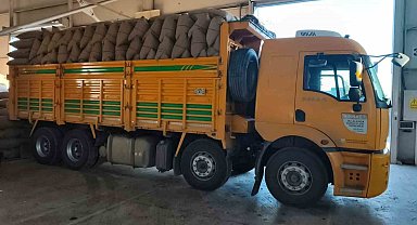 Kastamonu'da fındık üreticisinden 100 tonun üzerinde fındık aldı