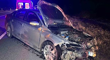 Kastamonu'da otomobil domuz sürüsüne çarptı: 2 yaralı