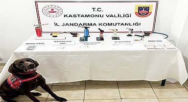 Kastamonu'da uyuşturucu operasyonu: 1 gözaltı