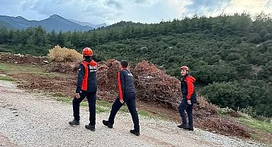 Kayıp yaşlı kadın ormanlık alanda aranıyor