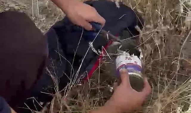 Kayseri itfaiyesi minik kediyi kurtardı