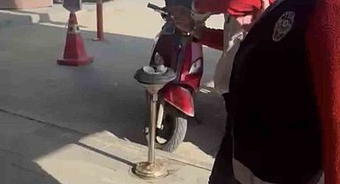 Kediye taşla vuran kadın yakalandı