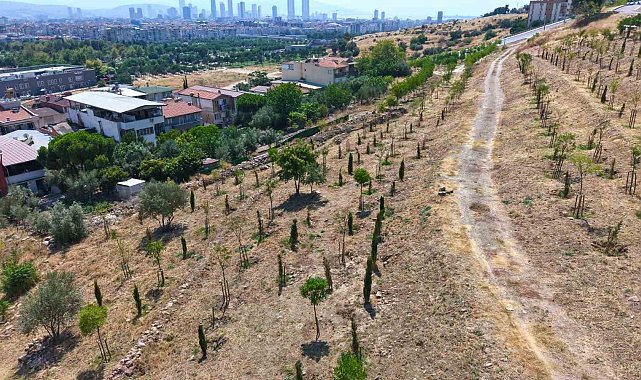 Kıraç topraklarda yeşil dönüşüm
