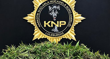 Kırklareli'nde 3,5 kilo esrar ele geçirildi: 1 tutuklama