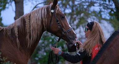 Kocaeli'de 117 binici dörtnala dayanıklılık sınavı verdi