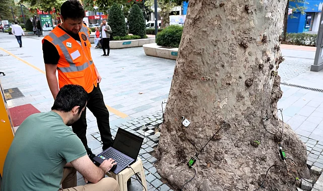 Kocaeli'nin doğal mirasına tomografi