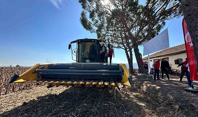 Koçarlı'da ayçiçeğindeki hibe desteği meyvesini verdi, ürünler hasat edildi