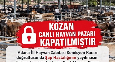 Kozan canlı hayvan pazarı şap hastalığı nedeniyle kapatıldı