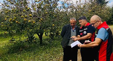 Kozan'da dolu hasarı için ön tespit çalışmaları başladı