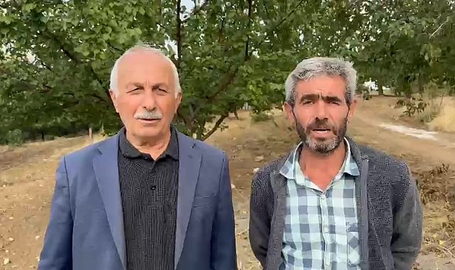 Kurttan kaçan keçi dağlık bölgede mahsur kaldı