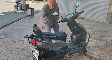 Mahallelinin neşe kaynağı oldu, sırra kadem basmasıyla esnaf 'kargamızı istiyoruz' çağrısında bulundu