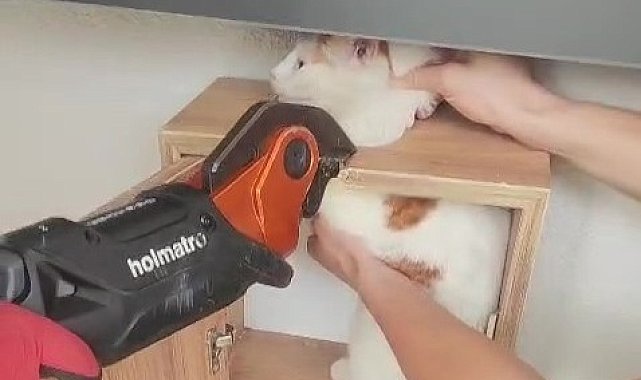 Malatya'da posta kutusuna sıkışan kedi kurtarıldı