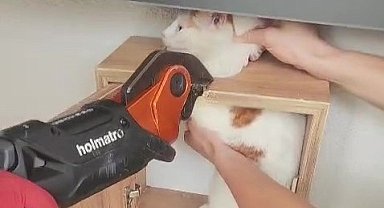 Malatya'da posta kutusuna sıkışan kedi kurtarıldı