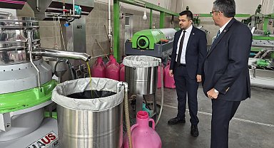 Manisa'da zeytin üreticisi isyanda