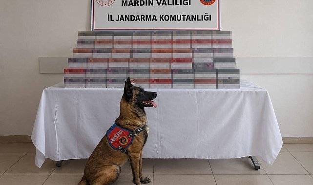 Mardin'de 8 milyon lira değerinde kaçak ürün ele geçirildi