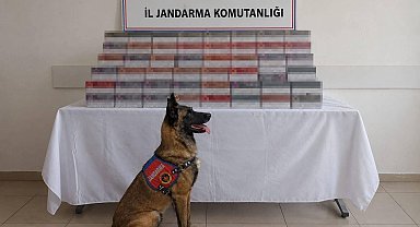 Mardin'de 8 milyon lira değerinde kaçak ürün ele geçirildi