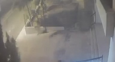 Mardin'de devrilen ağaçtan 10 saniyeyle kurtuldu: O anlar kamerada