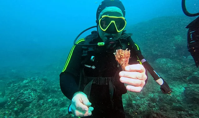 Marsilya'da deniz koruma alanı örnek oldu