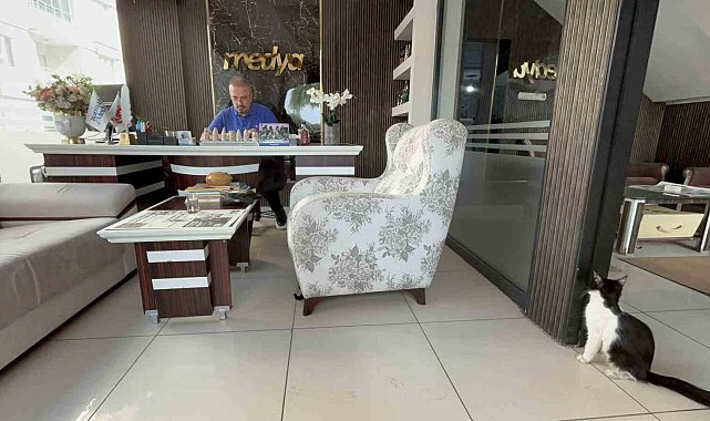Matbaanın kapılarını sokak kedilerine açtılar