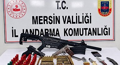 Mersin'de silah kaçakçılığı operasyonu: 1 tutuklama