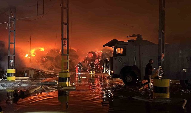 Mersin'de tütün deposu alevlere teslim oldu