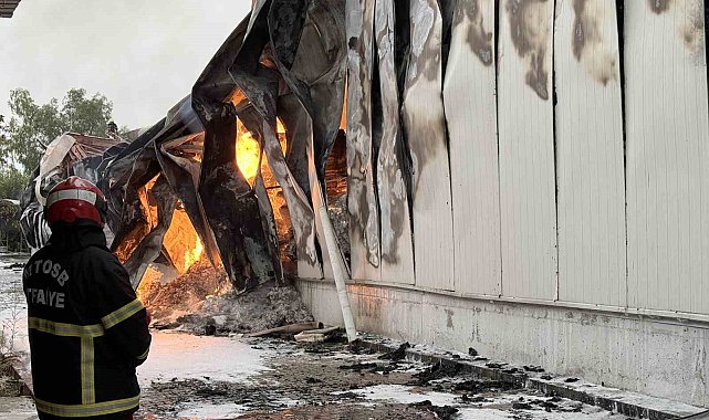 Mersin'de tütün ve makaron fabrikasının 3 deposunda yangın