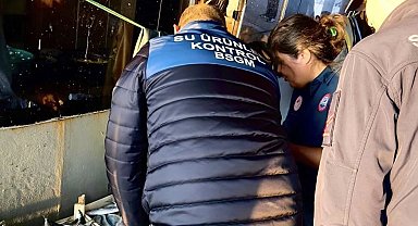 Mersin'de yasa dışı balık avcılığına karşı denetimler sürüyor