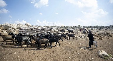 Mersin'de üreticiye güneş paneli desteği