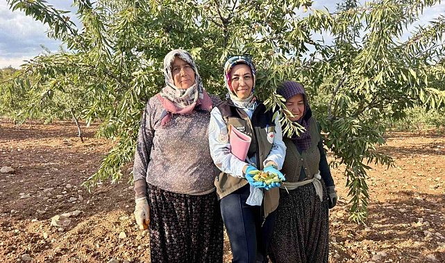 Meyve bahçelerinde ürün verimliliği için kontroller sürüyor