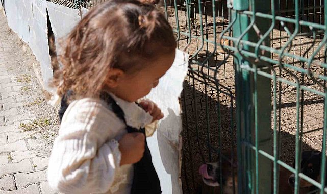 Minik öğrenciler hayvan barınağında hayvanlarla vakit geçirdi