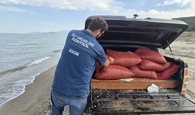 Mudanya Eğerce'de 2,7 ton kum şırlanı denize iade edildi!