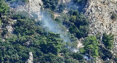 Muğla'da makilik alanda çıkan yangın kontrol altına alındı